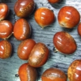 栗餡 栗ゆでて冷凍 渋皮もすっぽりむける レシピ 作り方 By Iihi009 楽天レシピ